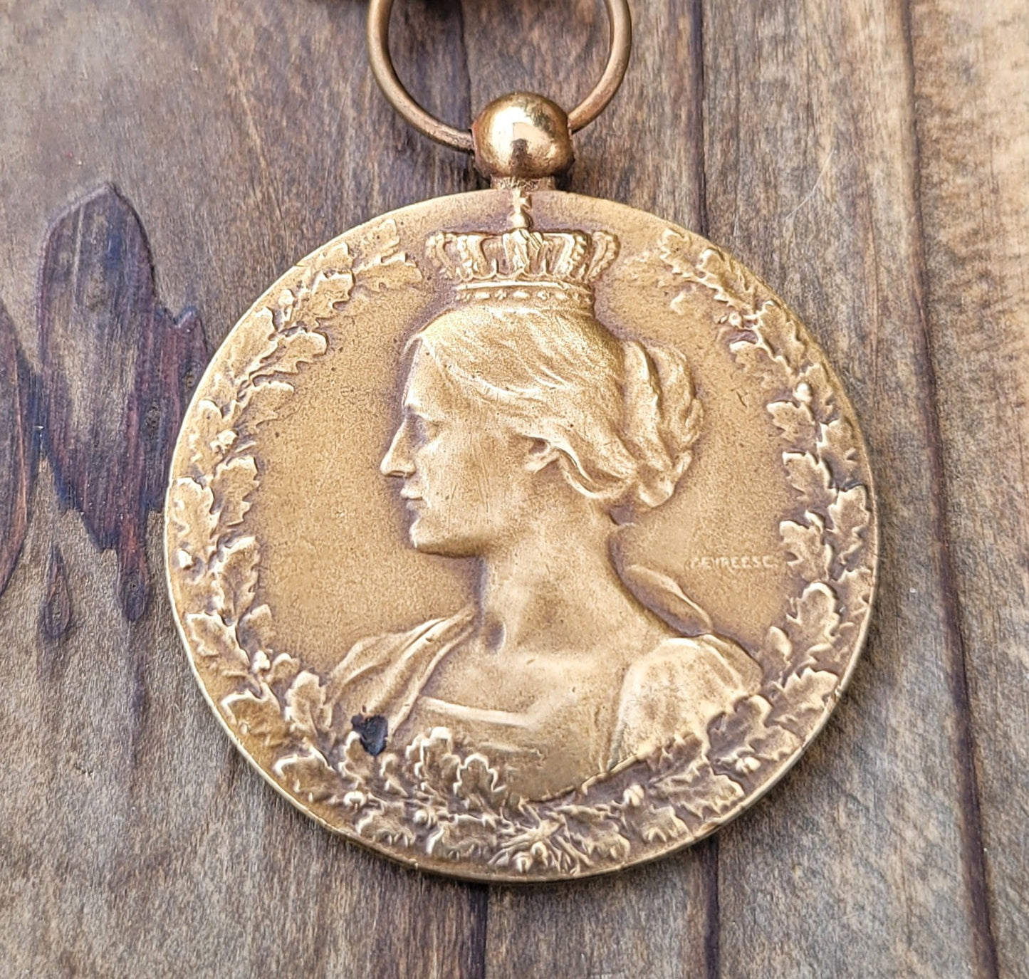Haricot Bean WWI Medal Necklace