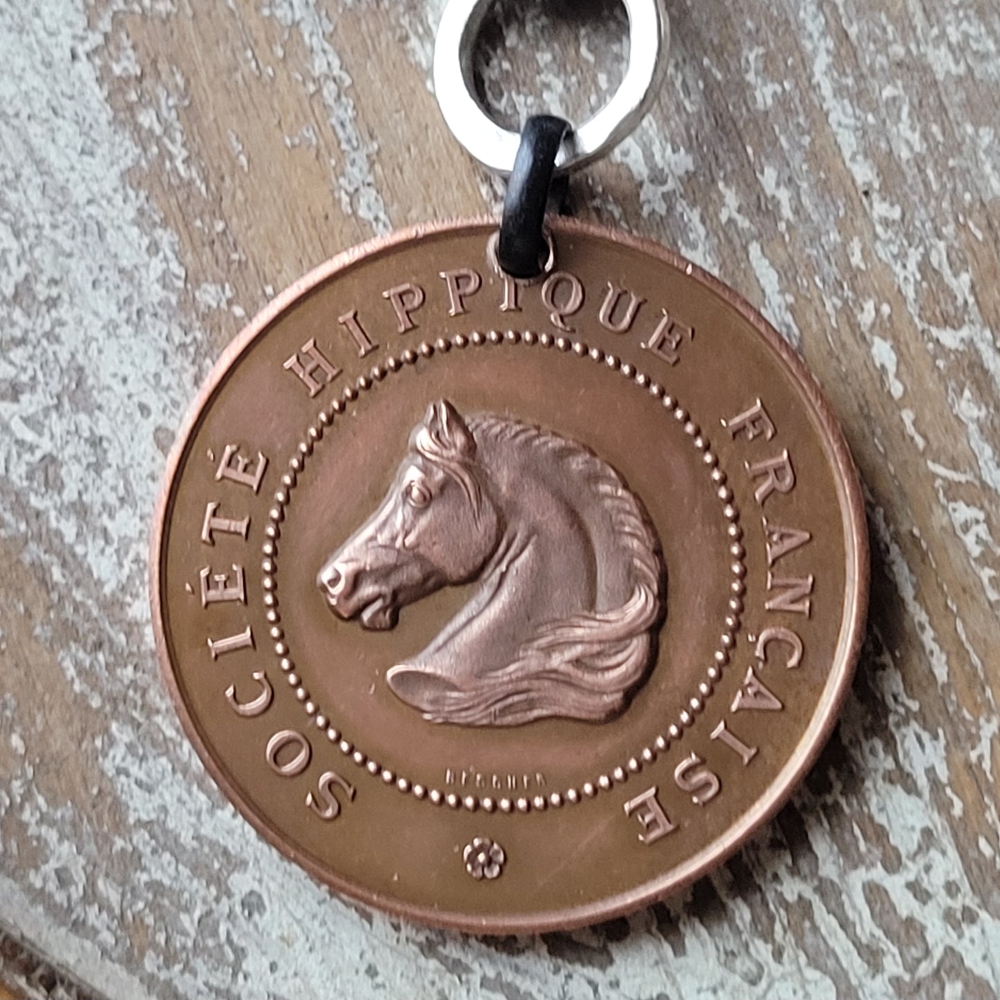 Rustic Equestrian Vintage 1885 French medallion necklace